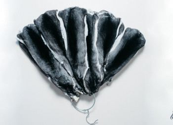 Выращивание шиншил и производство шиншиллового меха